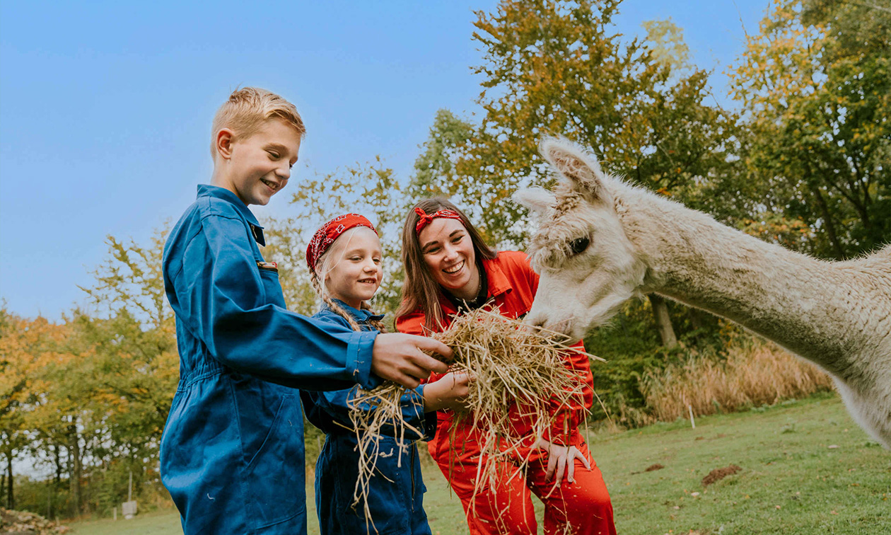 Vakantiepark Dierenbos