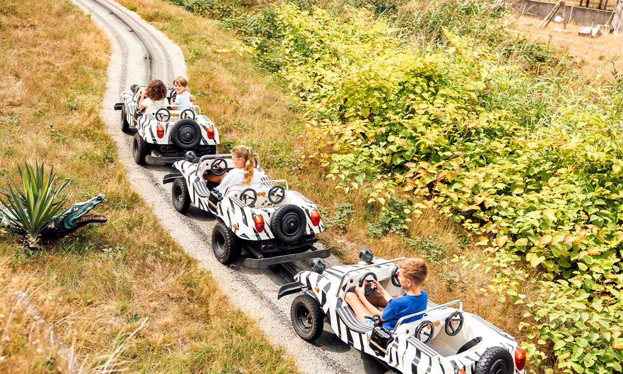 Vakantiepark Dierenbos