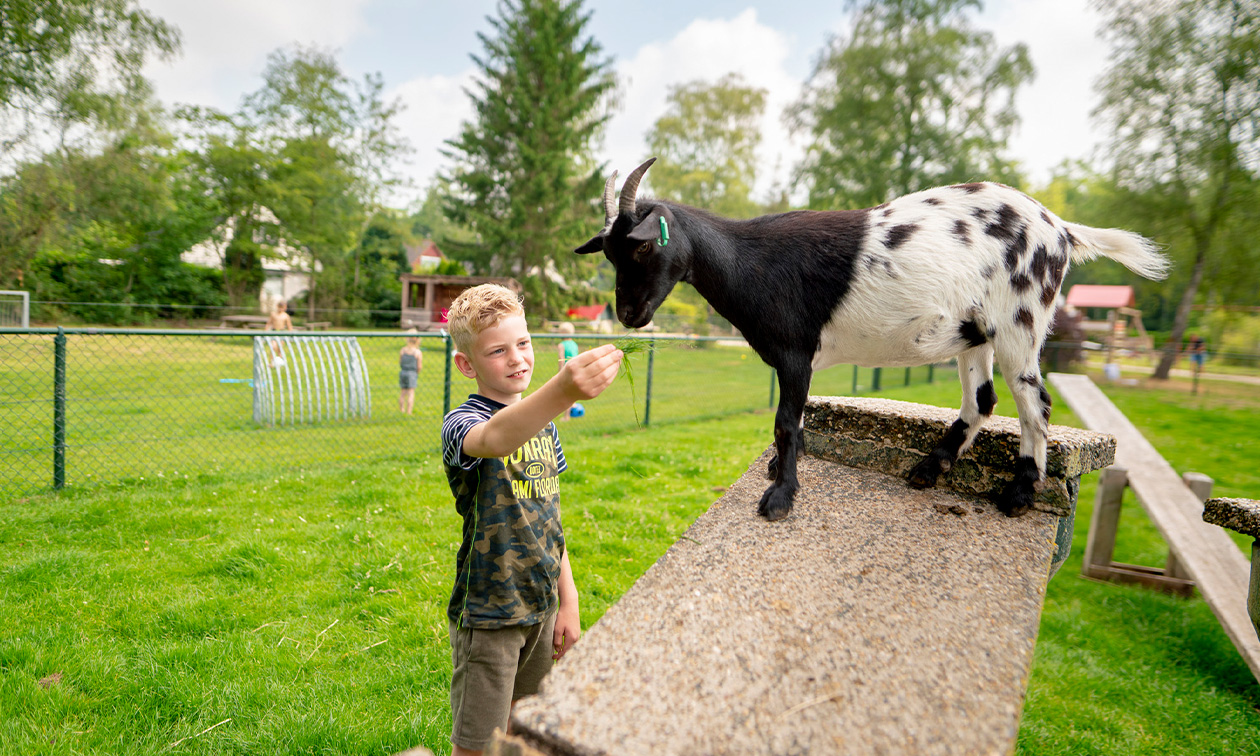 Vakantiepark Het Bosmeer