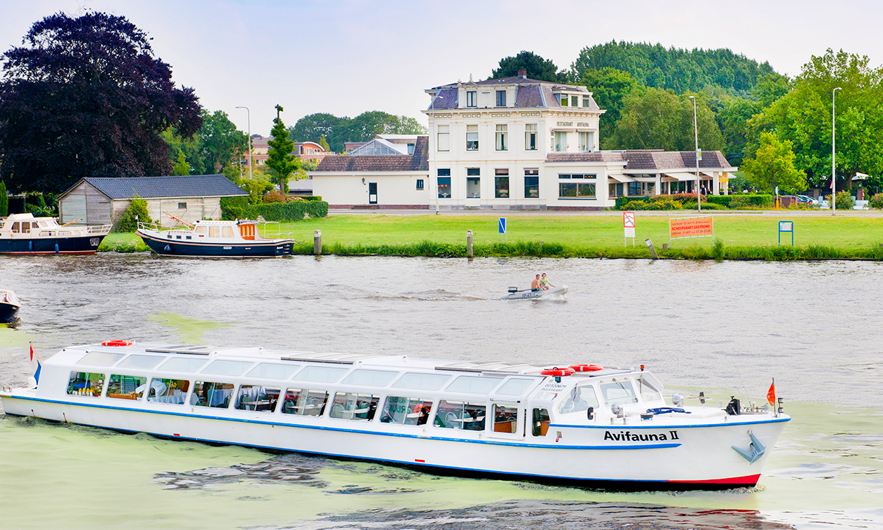 Van der Valk Avifauna