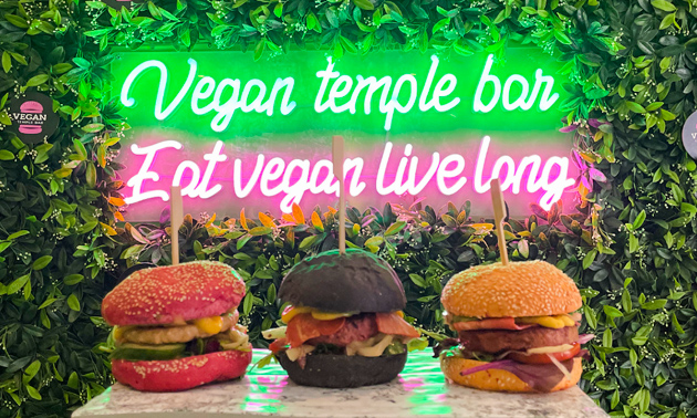 Vegan Temple Bar