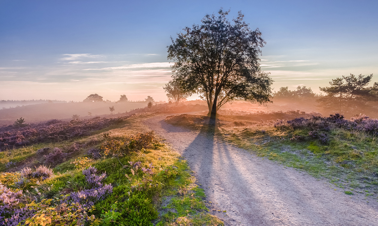Veluwe Actief