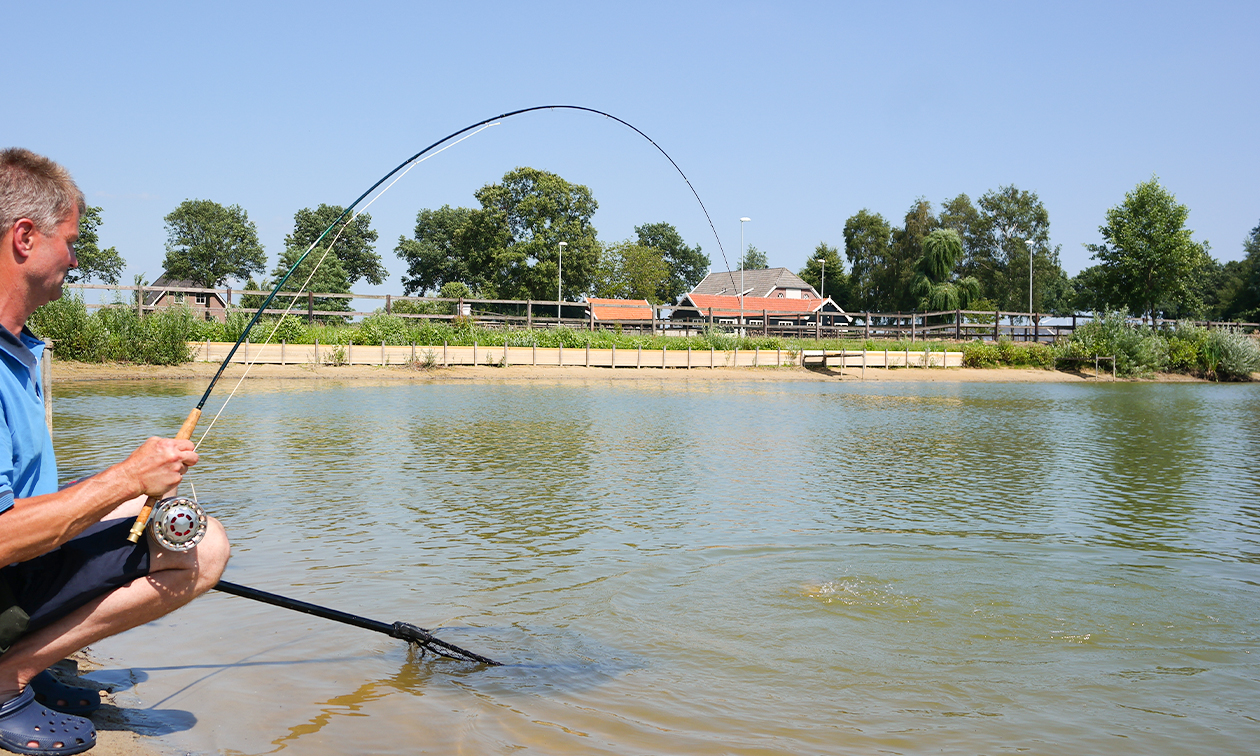 Visdorado de Kool