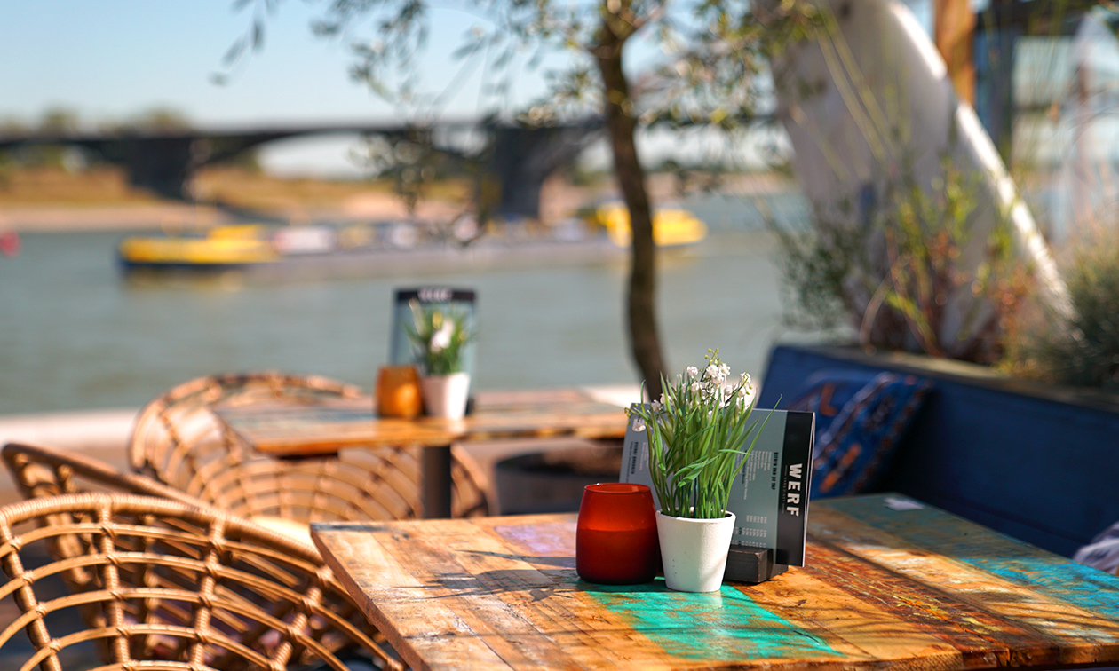WERF Bar & Diner