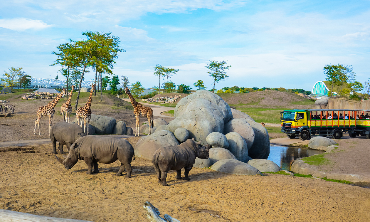 Spontaan uit eten bij WILDLANDS Adventure Zoo Emmen, Dagentree voor