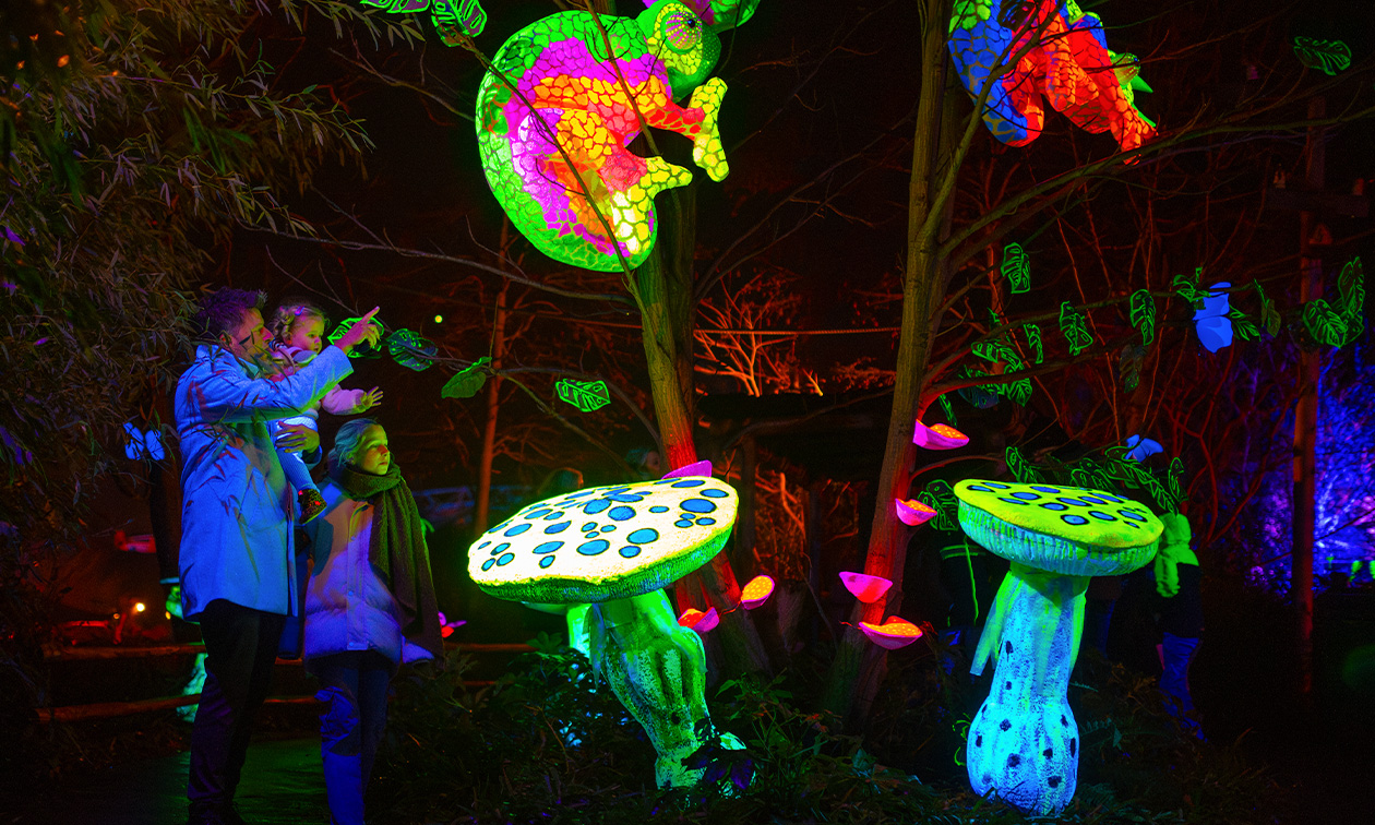 WILDLANDS Adventure Zoo Emmen