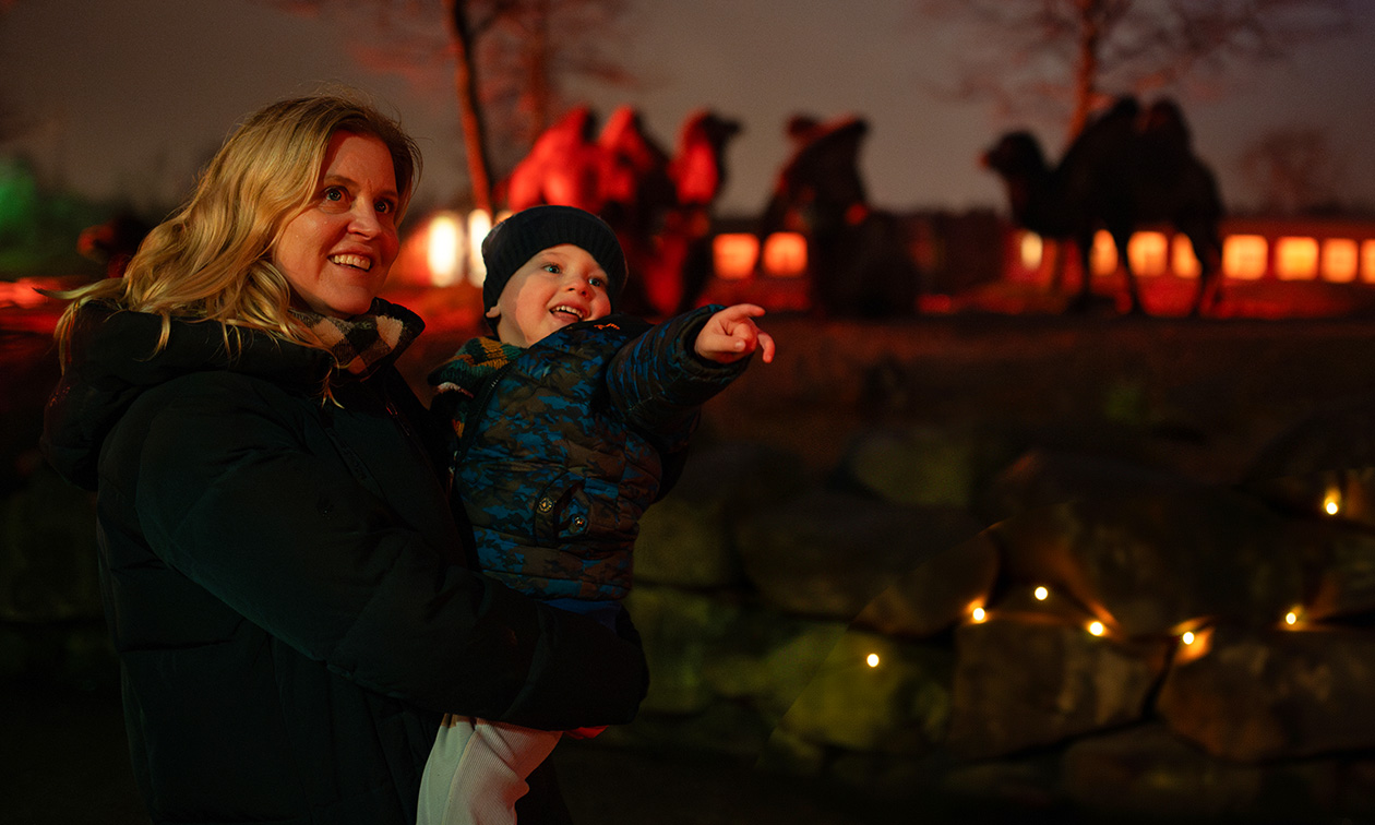 WILDLANDS Adventure Zoo Emmen