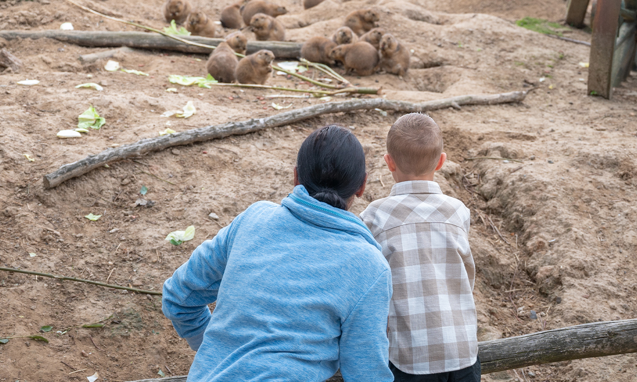 WILDLANDS Adventure Zoo Emmen