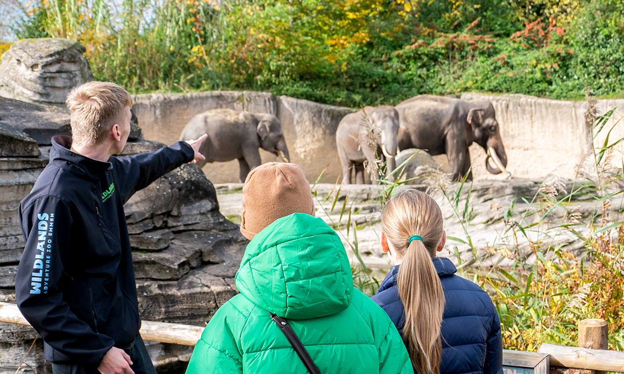 WILDLANDS Adventure Zoo Emmen