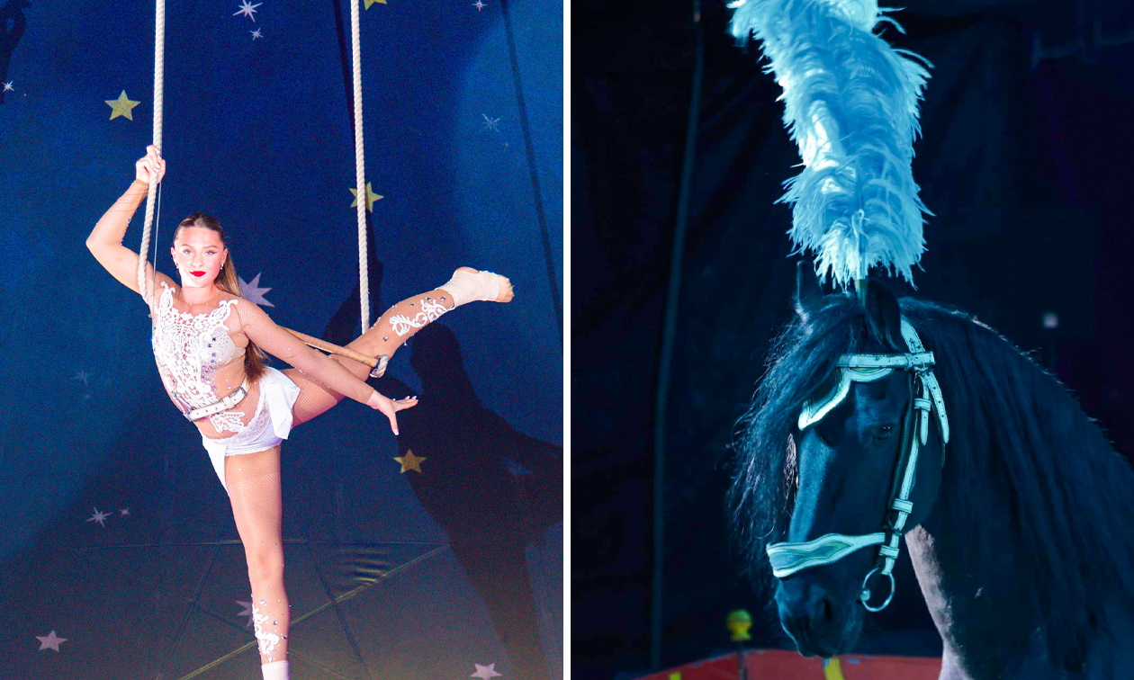 Circus Renz Berlin
