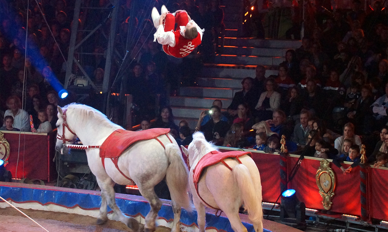 Wintercircus Apeldoorn en Festival du Cirque de Namur