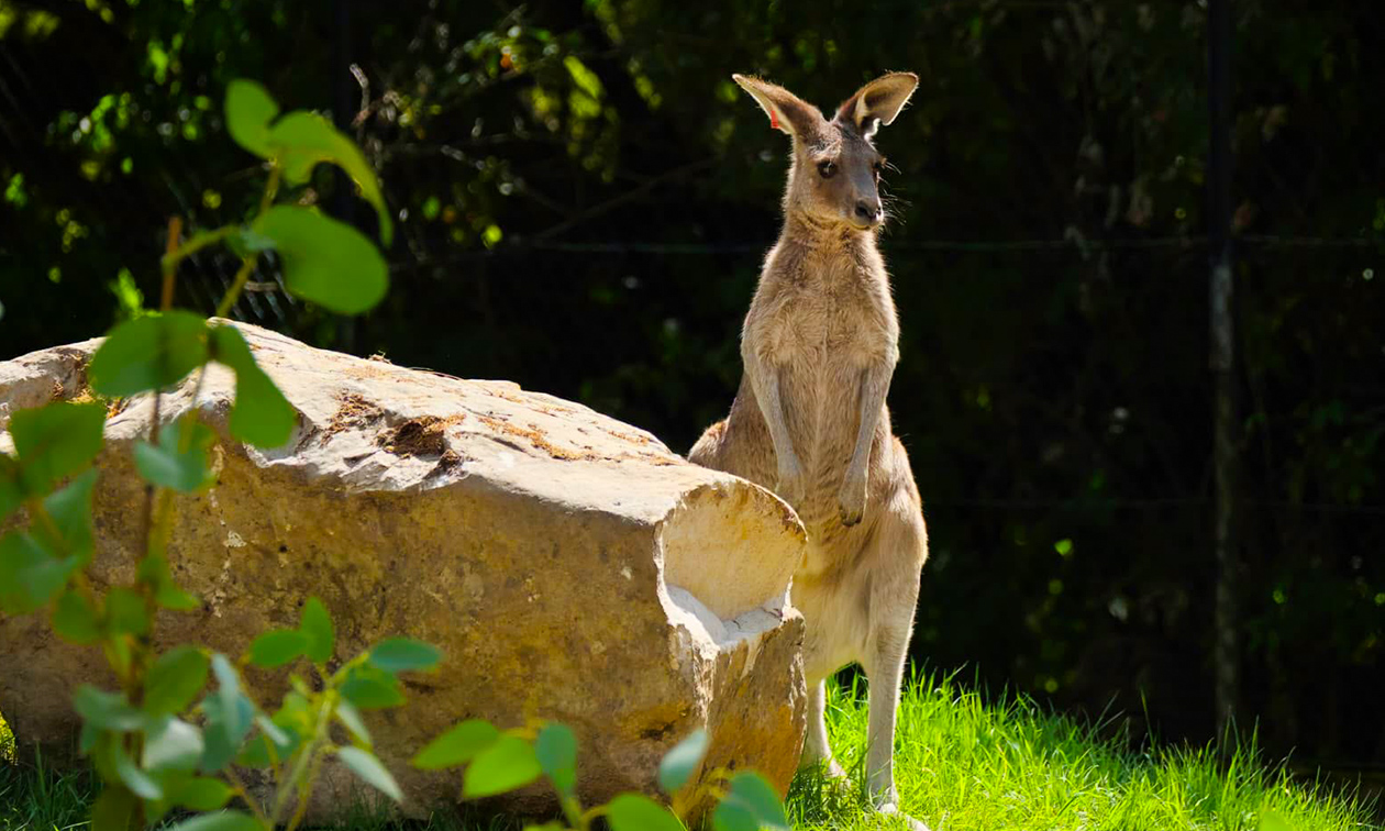 Zoo Krefeld