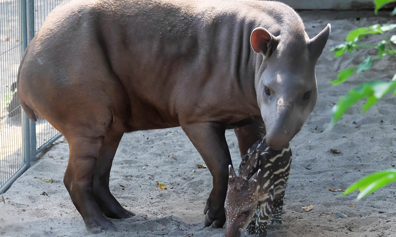 Zoo Krefeld