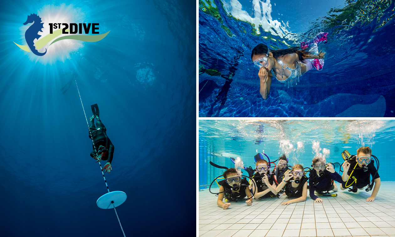 Introductieles (3 uur) voor duiken, freediven of mermaiding