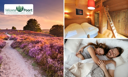 Nuit pour 2 + petit-déjeuner dans la Veluwe