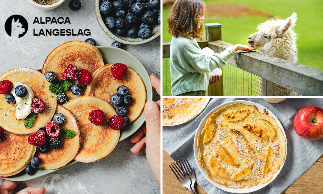 Pannenkoekengourmet tussen de alpaca's + drankje naar keuze Pannenkoekengourmet tussen de alpaca's + drankje naar keuze