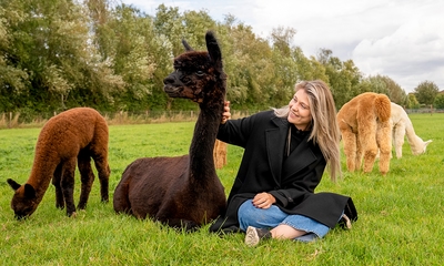 Alpaca experience (1,5 uur) + koffie/thee + gebak