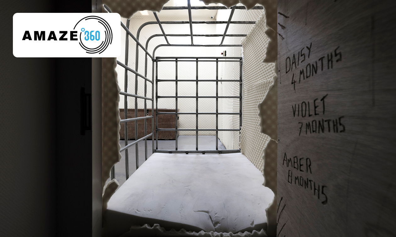 Online duurzaamheids-escaperoom (2,5 uur)