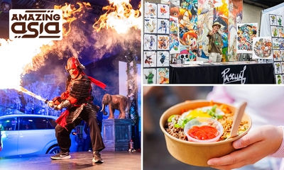 Tageskarte für das Amazing Asia Event in Antwerpen