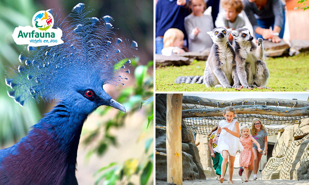 Entree Avifauna + XXL-speeltuin
