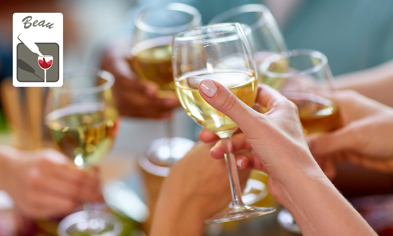 Wijnproeverij (1,5 uur) aan huis voor 4 tot 10 personen