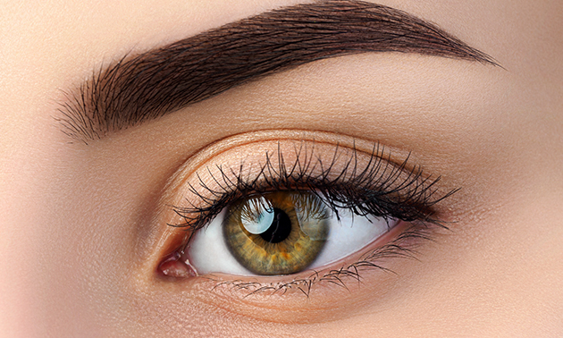Wimperlift + wimpers verven of henna brows
