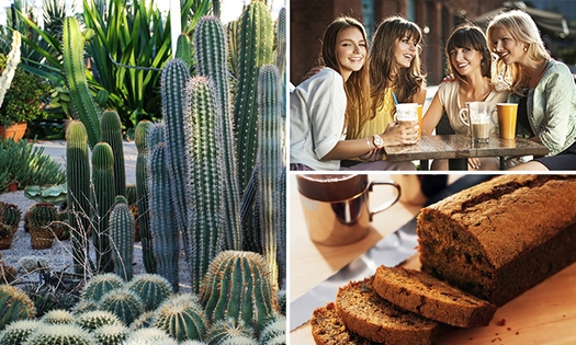 Entree voor Belevingspark CactusOase + arrangement