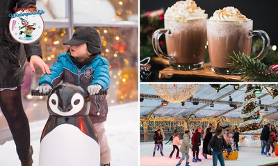 Entree incl. huur schaatsen, drankje en evt. meer bij Bergs Winterparadijs