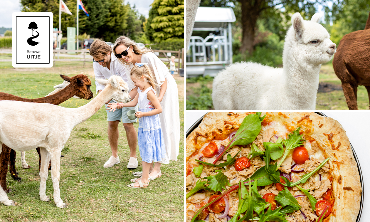 Alpacawandeling (1 tot 2,5 uur) + meer