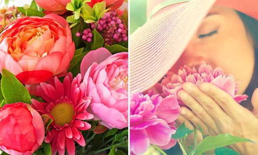 Waardebon bloemen en planten