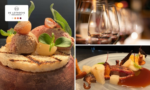 3-, 4-, 5- of 6-gangendiner van de chef bij Brasserie De Leyhoeve