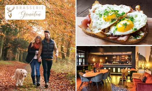 Wandelarrangement + koffie/thee + 2-gangenlunch bij Brasserie Gienieten