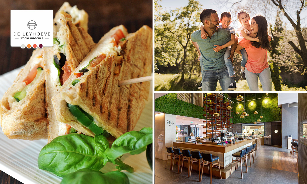 Shared lunch of wandelarrangement incl. koffie/thee + gebak + 2-gangenlunch