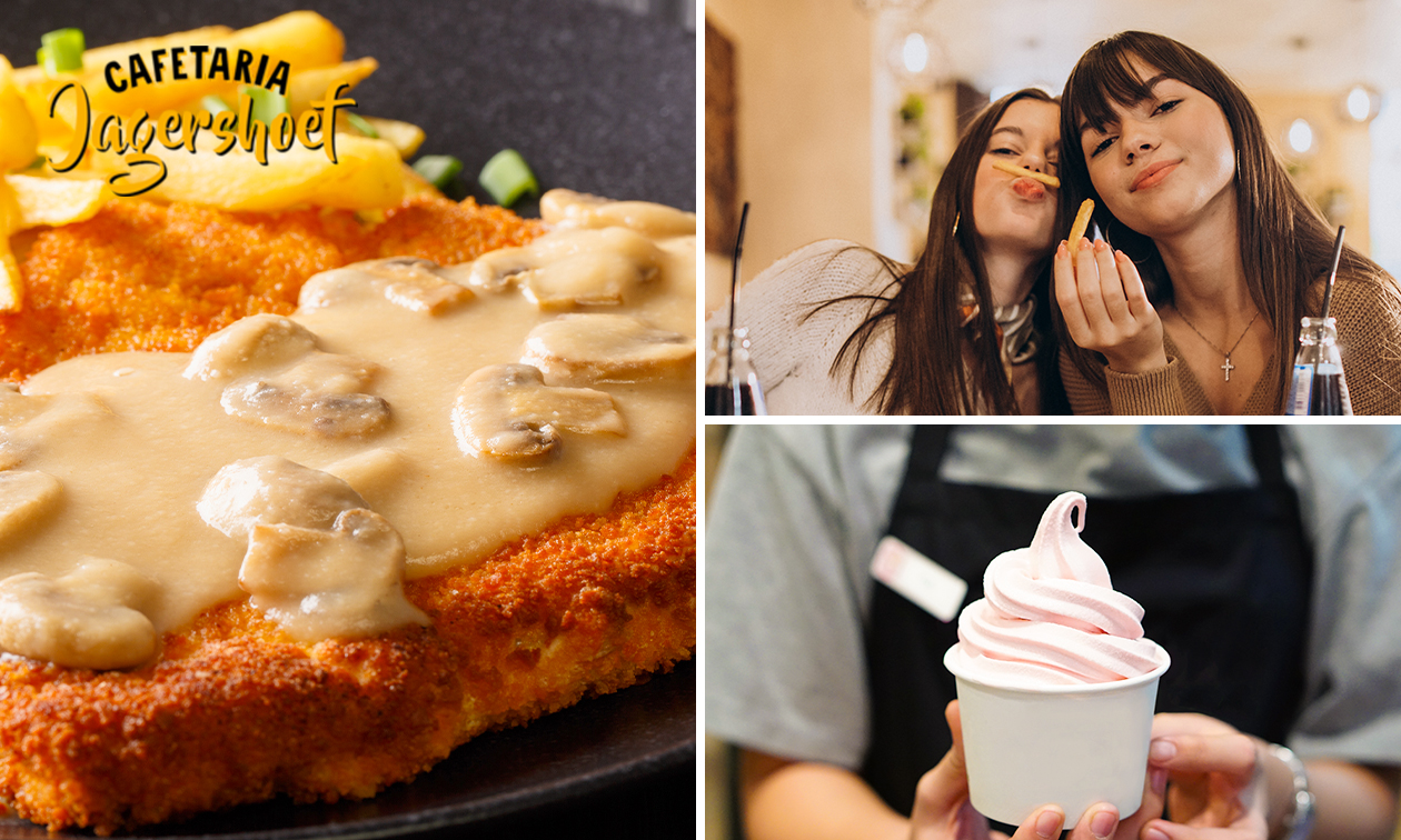 2-gangen schnitzeldiner + ijs