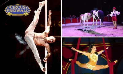 Entree Circus Freiwald