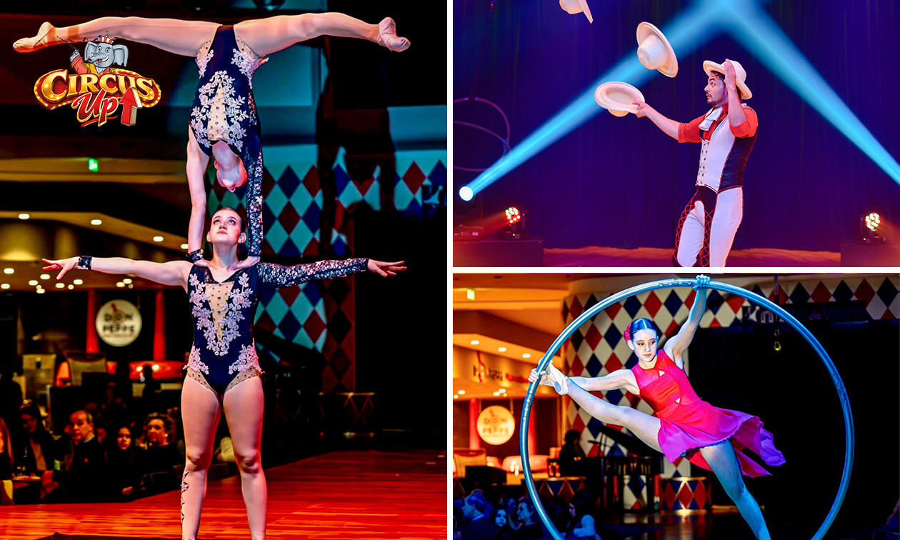 Entree Circus Up! + toegang kidszone