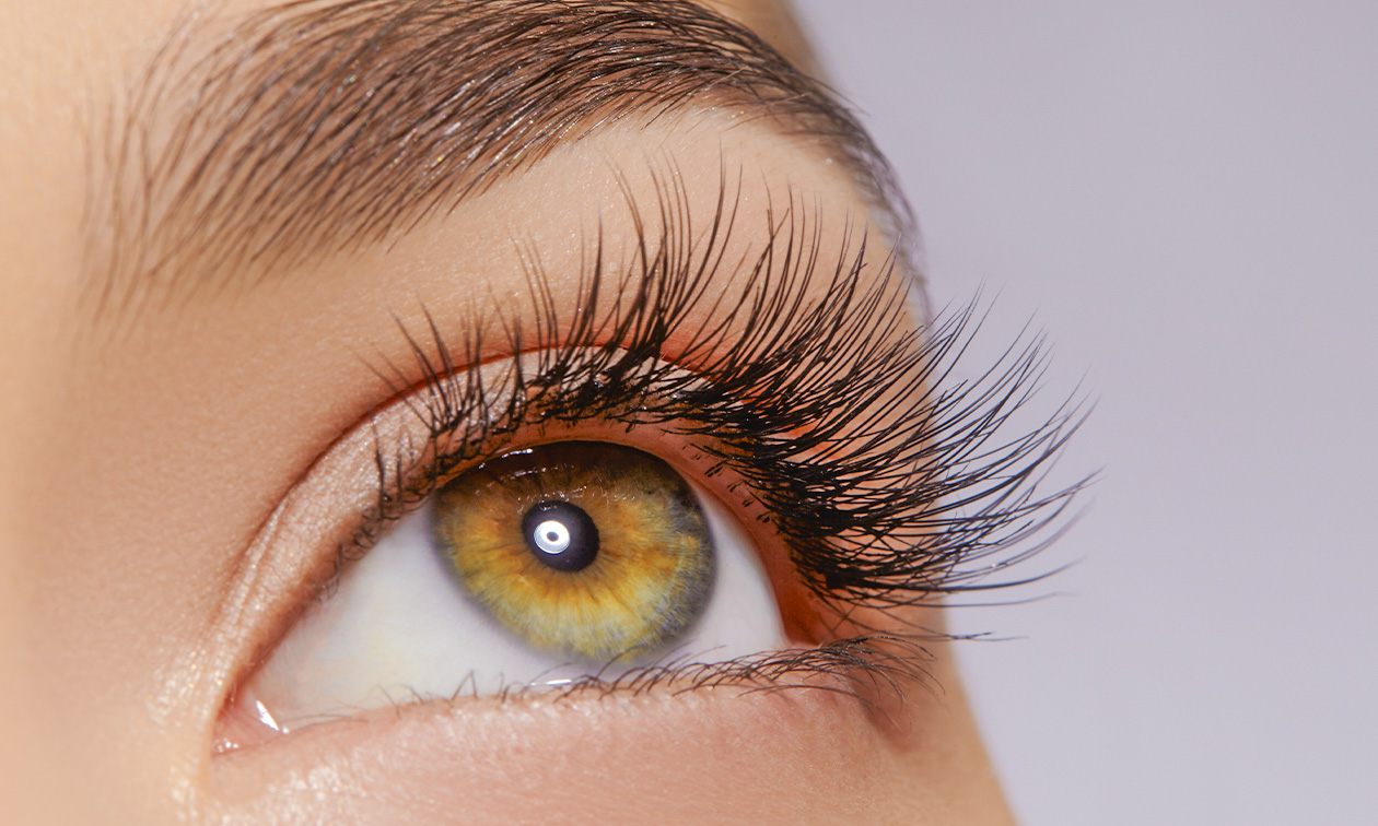 Wenkbrauwbehandeling naar keuze of wimperlift