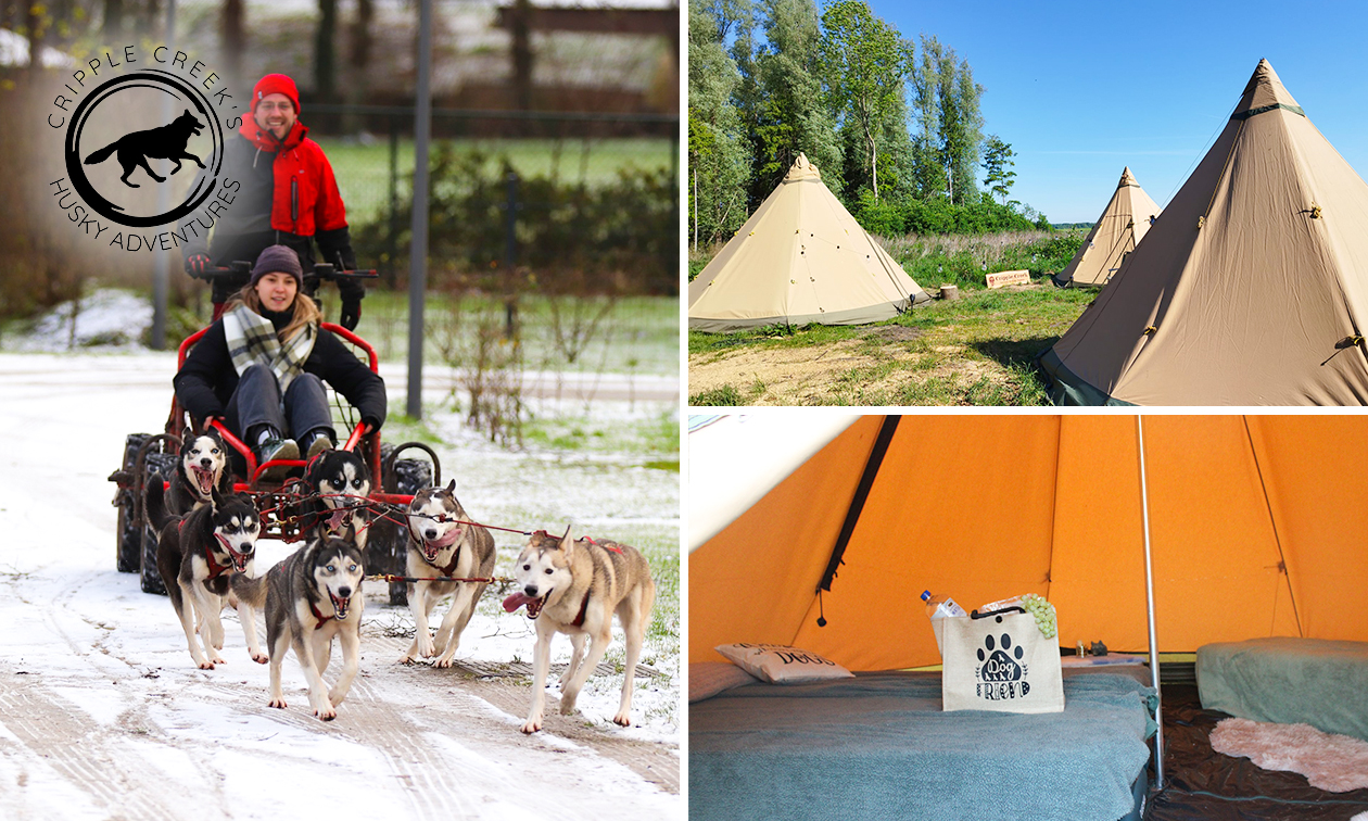 Overnachting voor 1 + husky-karrenronde, high tea, ontbijt en meer