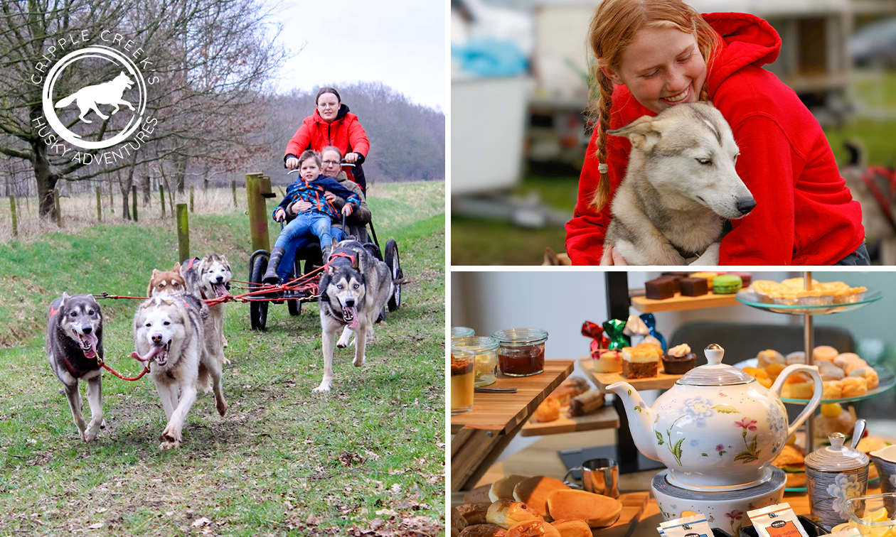Huskyactiviteit naar keuze