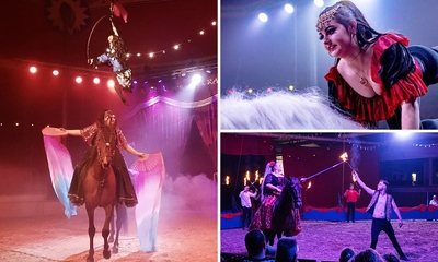 Entree Dancing with Horses