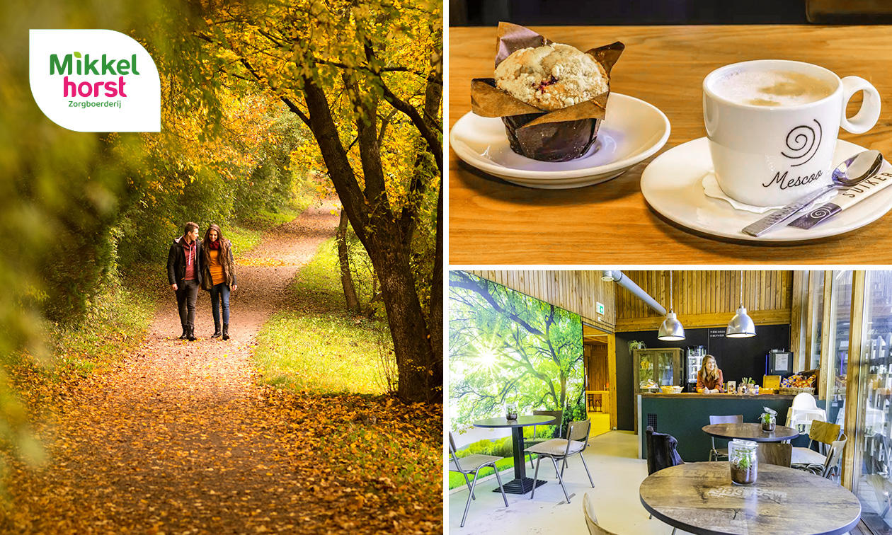 Wandelarrangement incl.warme drank en gebak + 2-gangenlunch