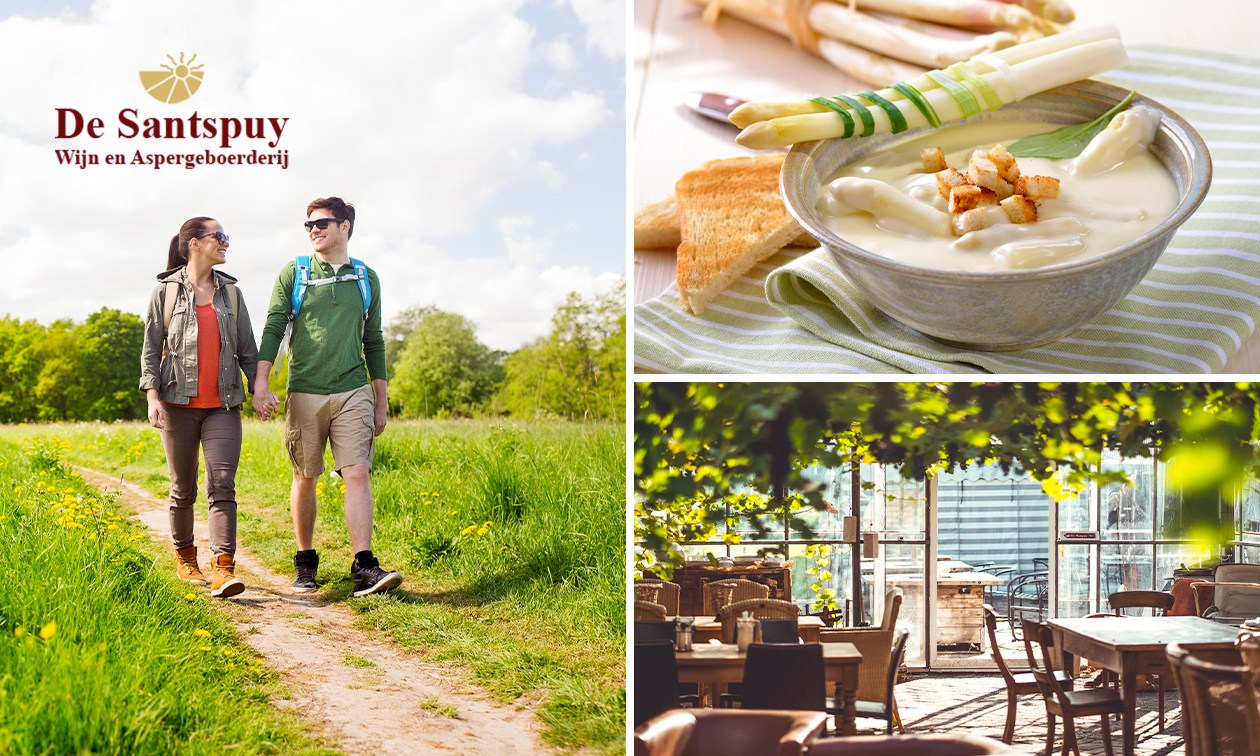 Wandelarrangement met koffie/thee + appelcake + lunch + glas wijn bij De Santspuy