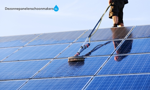 Zonnepanelen en dakgoot reinigen of vogelwering
