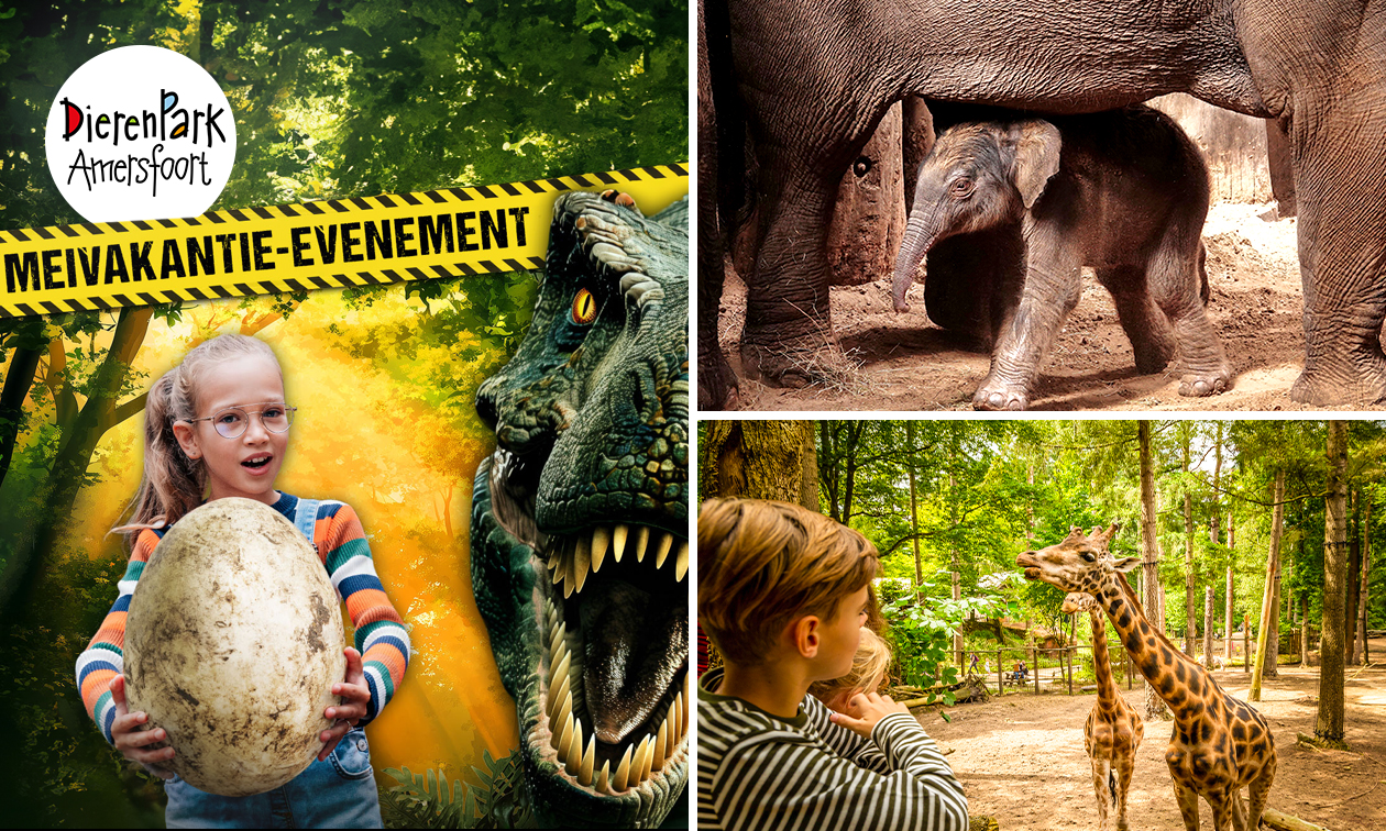 Entree voor DierenPark Amersfoort