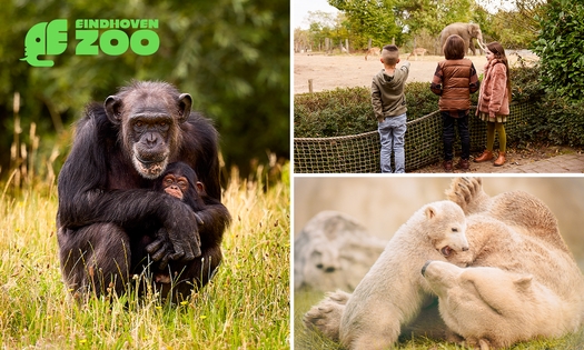 Gehele dag entree tot Eindhoven Zoo (voorheen Dierenrijk)
