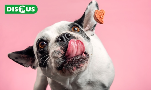 Waardebon voor dierenwinkel