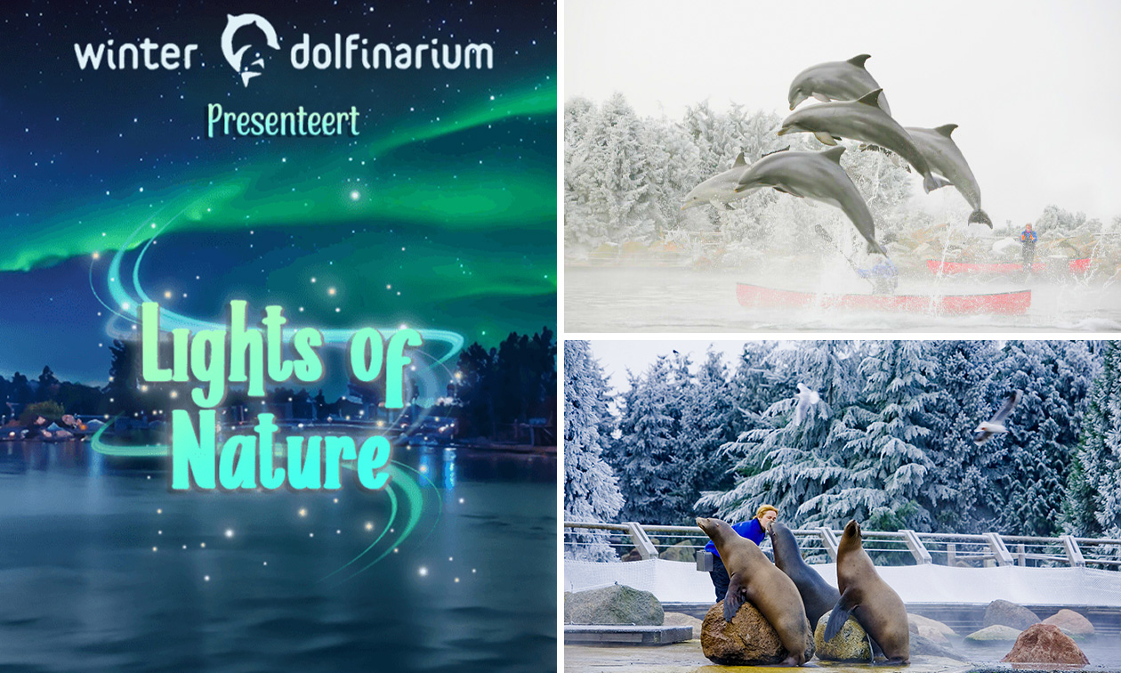 Entree voor het Dolfinarium