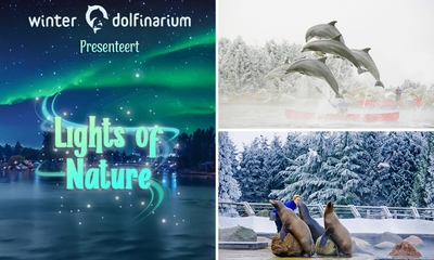 Entree voor het Dolfinarium