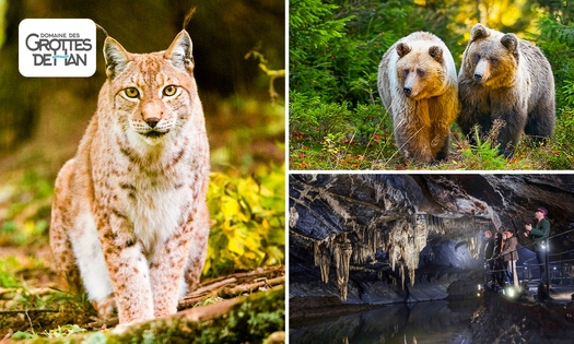 Entrée au parc animalier + grottes