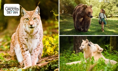 Entree tot het Wildpark
